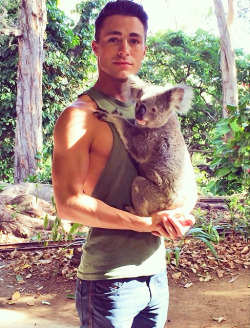 somegoodthings:  Colton Haynes  Two hot Aussies