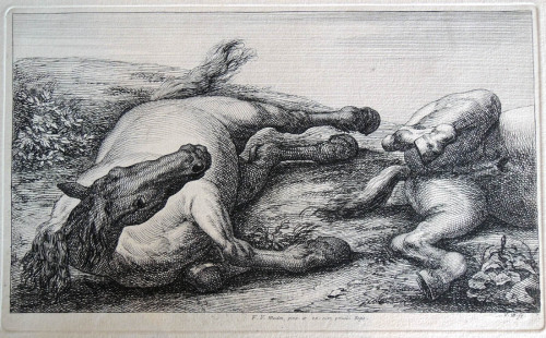 Engraved after Charles Le Brun’s Etudes de chevaux de bataille blesses (Studies for Wounded Warhorse