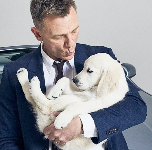 cinemamoremio:Daniel Craig