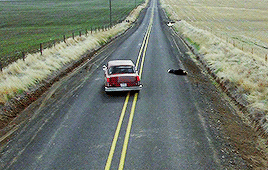 soundsofmyuniverse:There is no reason to know the time. We are timeless. My Own Private Idaho (1991)