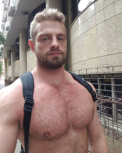 brightonchappie:  BIG chest ! hairy chest