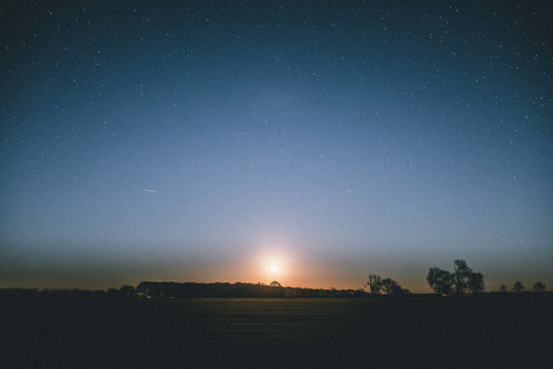 withwild: The moon rises low on the horizon, almost appearing to be the setting sun.