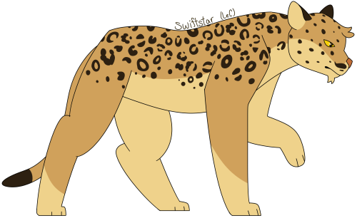 [Image Description: A digital drawing of Swiftstar of LeopardClan from the Warrior Cats book Secrets