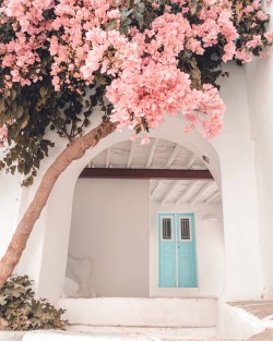 floralls:Paros, Greece by Polina Paraskevopoulou
