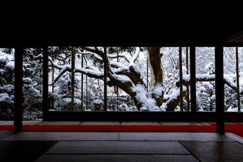 Snow viewing in Japanese temples (shown here are Kyoto Hosenin, Jikkoin and Sanzenin, captured by Pr