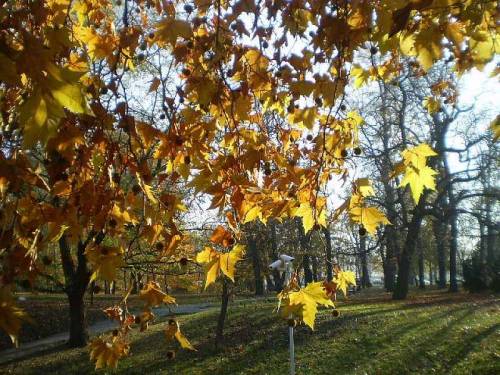 Autumn in Slowacki’s park in city Wroclaw, Poland, feat. Rotunda (a round building-museum with only 