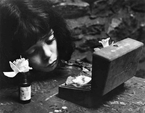 Eugene Smith - Death of Gus-Gus, 1953.