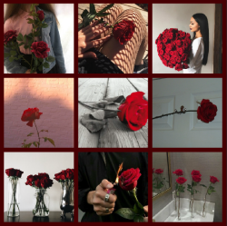 lovecuddle:  © | Roses | Red | More Boards  