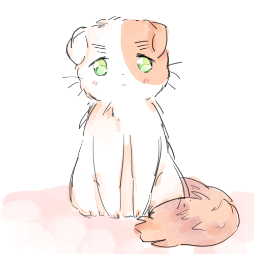 fluffiemarshmallow:First time drawing a cat in a very long time-