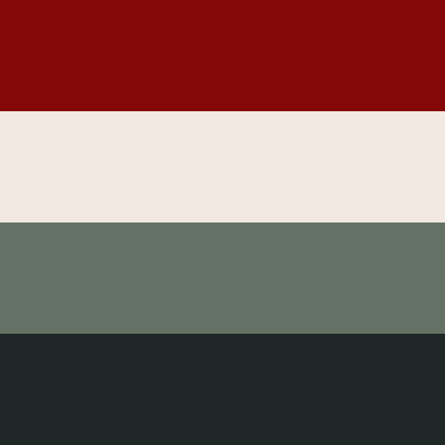 whimsy-flags:Nagito Komaeda Pride Flags!Aromantic | Asexual | BiGay | Genderfluid | LesbianNonbinary