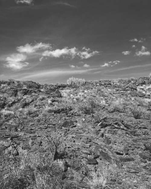 Desierto. 1 #huaweip20lite #siouxcity #grancanaria #blackandwhite #blancoynegro #mobilephoto #landscape