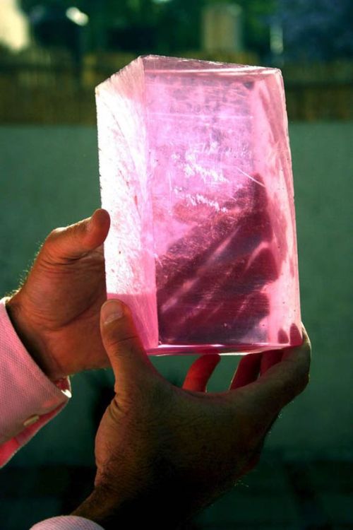 A team of material innovators in Mexico—Joel Sosa and Sergio Omar Galván—are working to create pink 