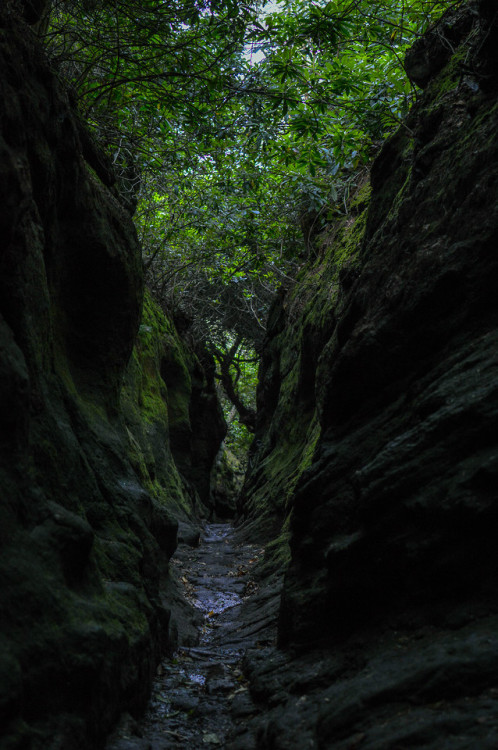 Hawkstone Cave, 2019