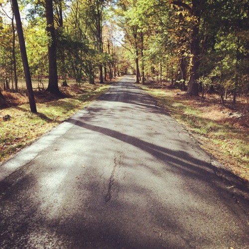 Hammer Rd. NJ #seenwhileriding