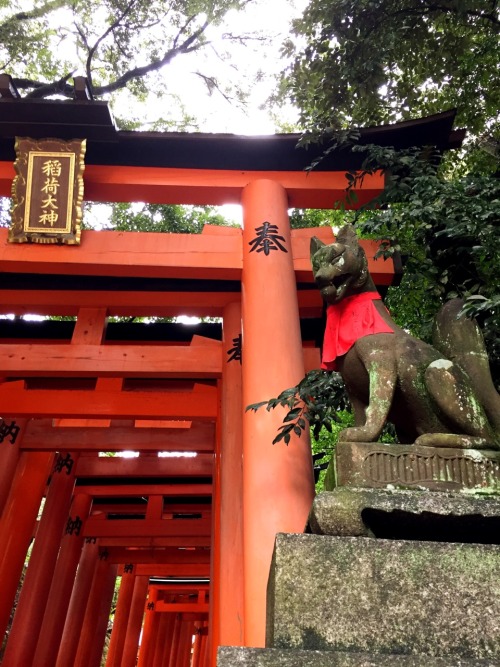 Fushimi Inari Taisha, Kyoto photos by Kobalt