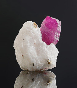 bijoux-et-mineraux:  Ruby on Marble - Jegdalek,