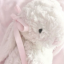 dolly900
