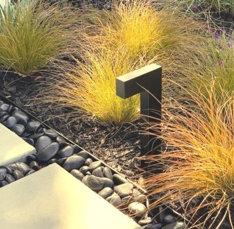 Front Yard - Midcentury Landscape