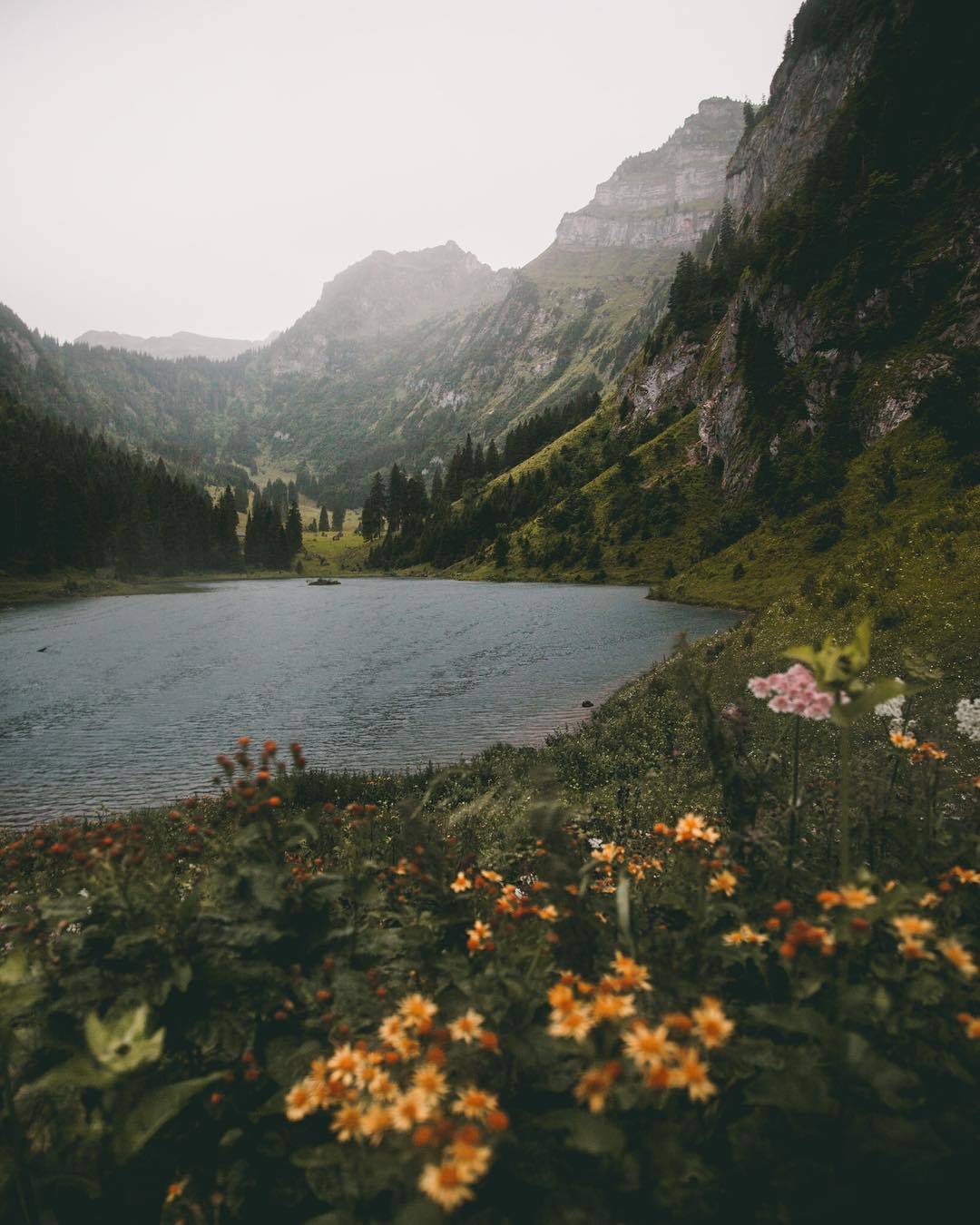 heidigrainger:+ nature