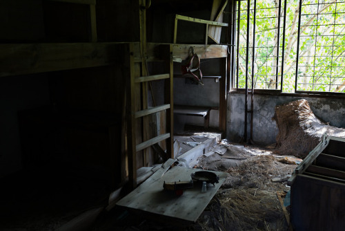 夏の朝 夢の跡Abandoned mine