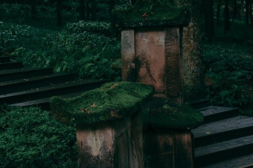 fuckyeahchinesegarden:青城山 Qingcheng Mountain in Sichuan province