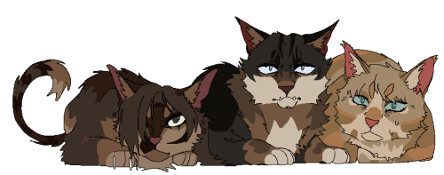 The Apprentices And Those Guys They May Or May Not Like