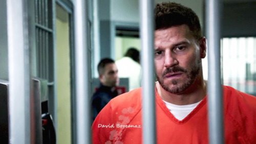 seeley booth