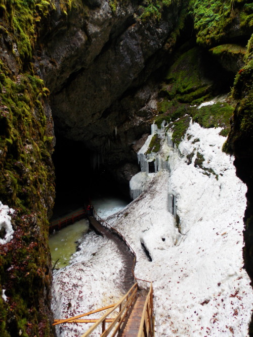 Scărișoara Ice Cave, Apuseni Mountains / Romania.