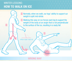 mylittlespambox:  elijahfeathers:  dandelionofthanatos:  alwaysatrombonist:  lifemadesimple:  Travel: Walking on Ice Avoid slipping by walking like a penguin. Fact: About 60 people die each year in the US as a result of slipping on ice. This is about