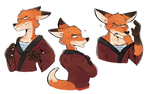 Heres Some Fox Samurais