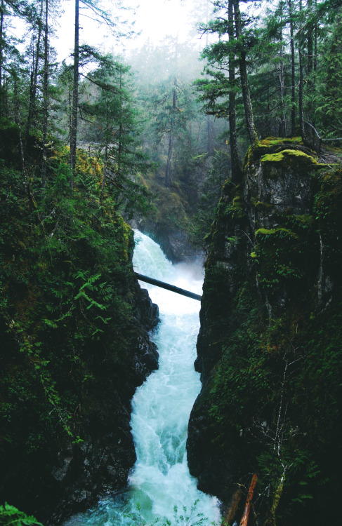 tuaari:Little Qualicum Falls, Vancouver Island