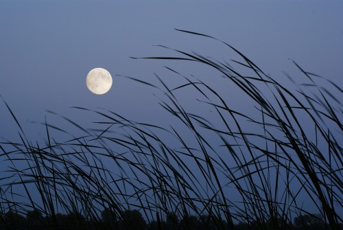 Pleine Lune