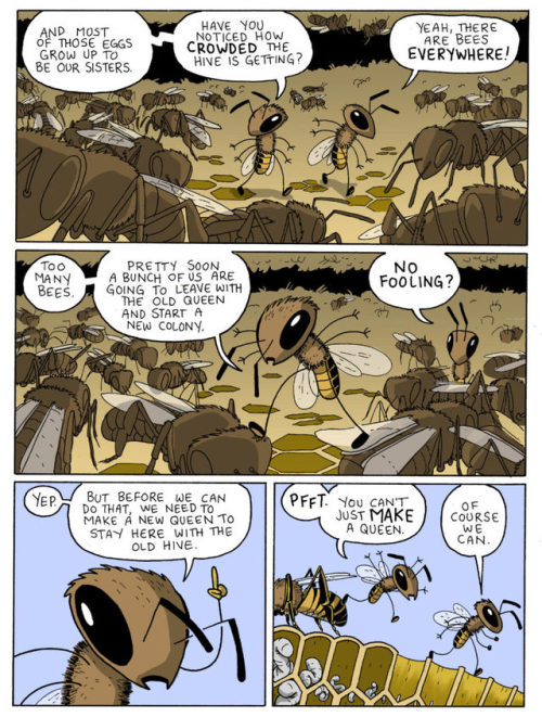 How to Build a Queen Bee by Jay Hosler