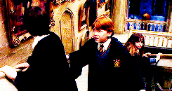 bahtmun:  “It’s true then, what they’re saying on the train. Harry Potter has