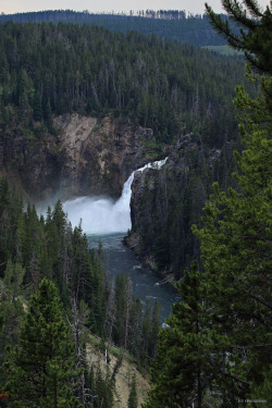 riverwindphotography:  Take the Plunge: The Upper Falls of the Yellowstone River, Yellowstone National Park, Wyoming by riverwindphotography, June 2015 