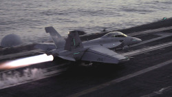 Vfa-213 “black lions” one of