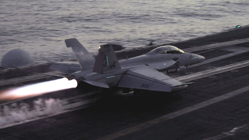 Vfa-213 “black lions” one of my favorite sqns……Nice cat shot!!!!