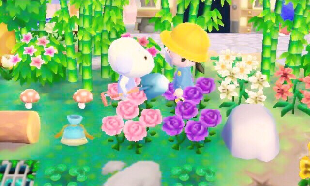 pastelcrosserr:  daisy + me