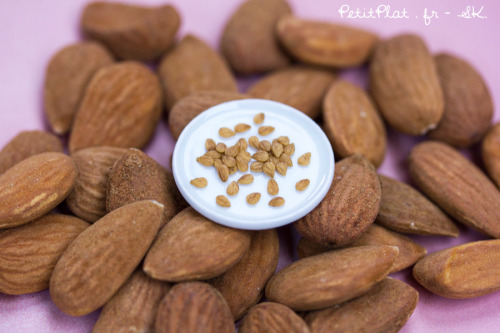 Day 213 - Almonds / Amandes / Prunus dulcisAlmonds are the edible seeds of the almond fruit. They ar