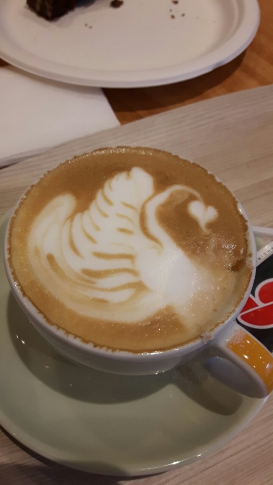 Un Cygne