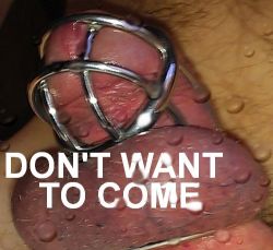 cagedcock:I reach a deeply pleasurable state of mind when I’m locked and denied. Once I come, it can take days to restore that mindset. So as much as I love having an orgasm, I really don’t want to come.