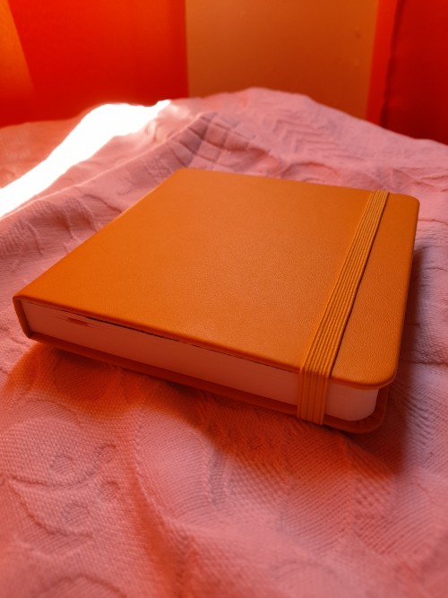 New Sketchbook