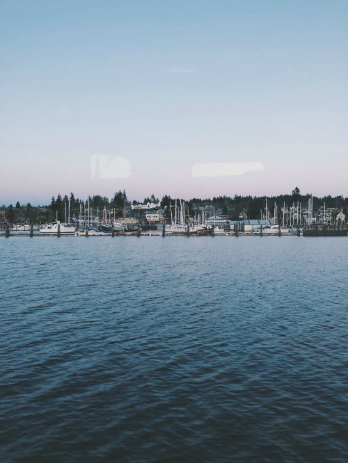 cup-of-teal: Poulsbo, WA