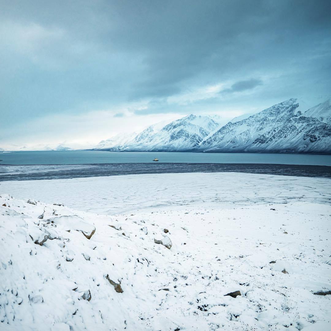 nythroughthelens:
“ Arctic palette. If I could wrap my dreams in these colors, I would. This is a view from Mount Timmia (talked about it in the video linked in my bio!) which is at 81 degrees latitude, near the North Pole. One of the most beautiful...