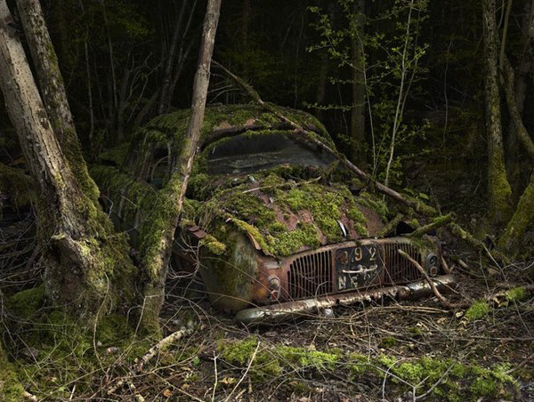 asylum-art:  Paradise parking by Peter LippmanAmerican artists Peter Lippman spent