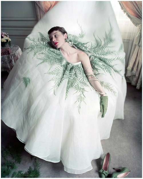 robertocustodioart:Bettina Graziani by Norman Parkinson 1950Got stuck in the dressing room trying th