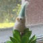 pixesos