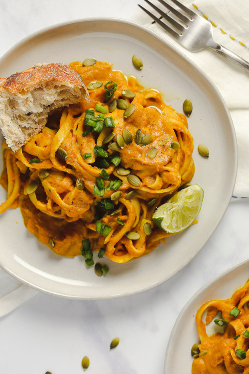 Vegan Pumpkin Pasta Round UpEasy Vegan Pumpkin Curry Pasta (GF Option)Vegan One Pot Pumpkin PastaThe