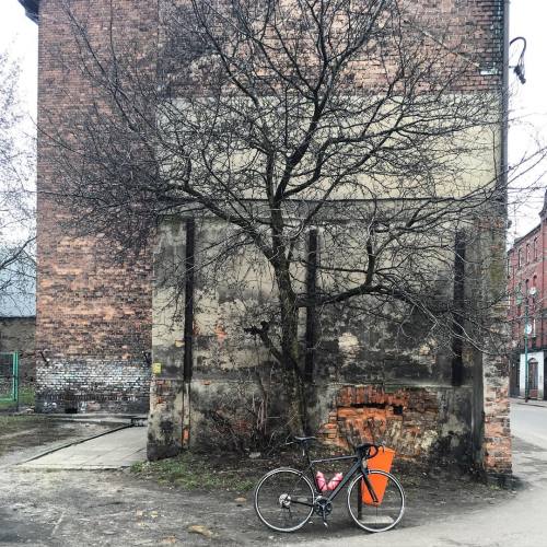 rdspks: #bikesagainsttrashcans #siemianowice #silesia #familok #mycanyon #tree (w: Siemianowice Slas