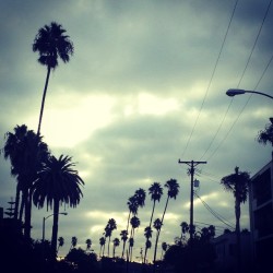 batteredshoes:  at Long Beach, California 